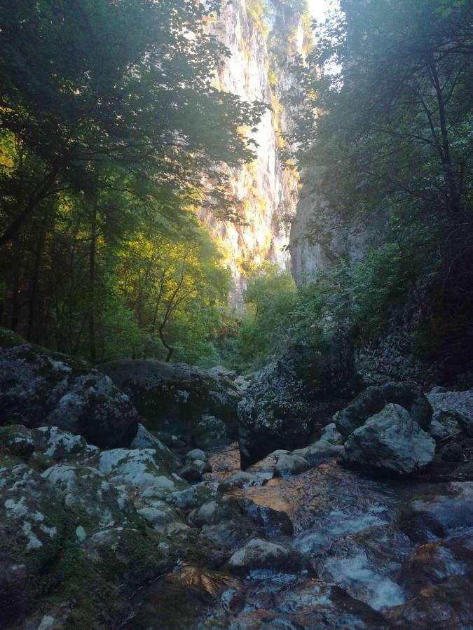 Gite Sechoir Du Nan Cognin-les-Gorges Exterior photo